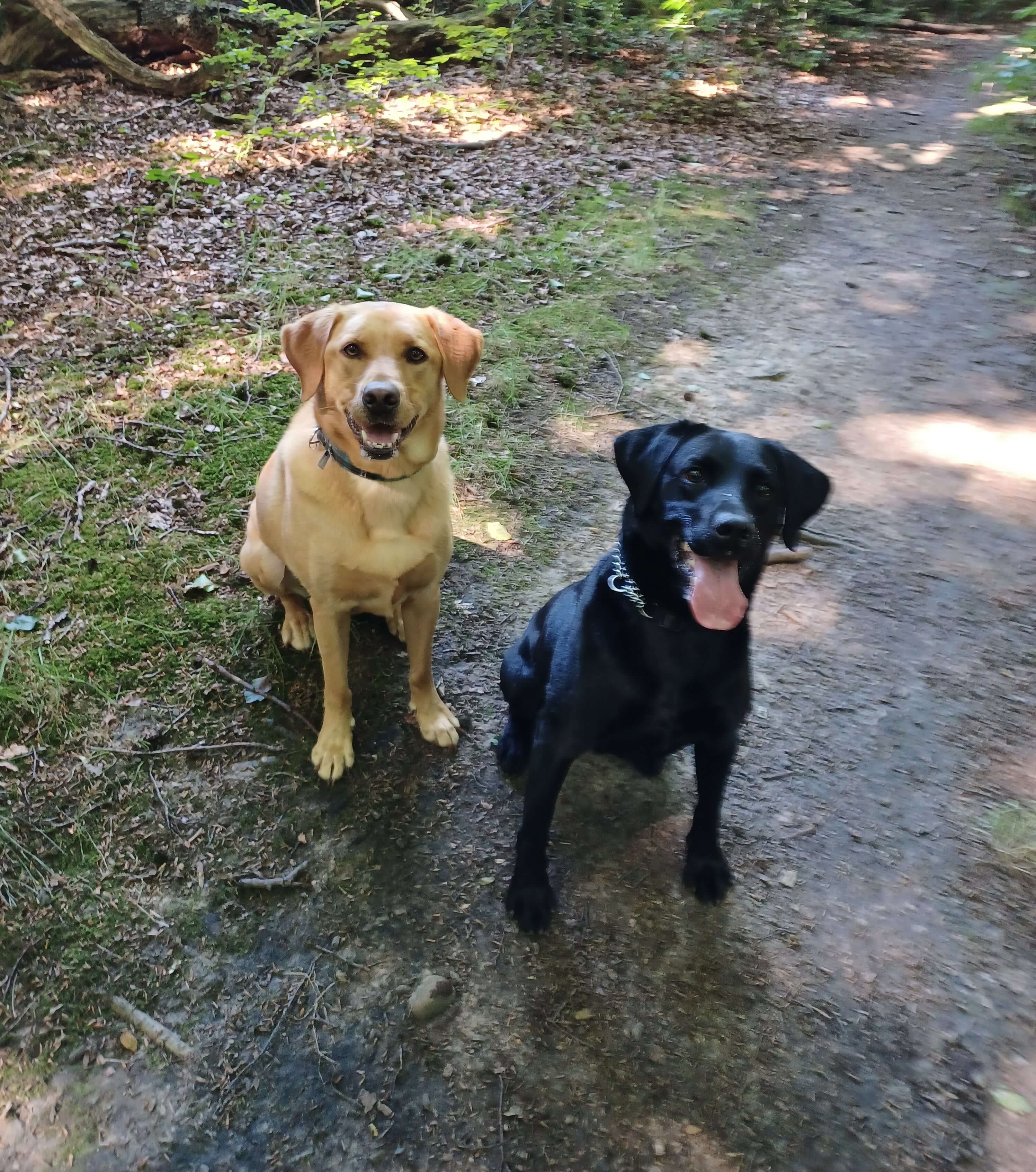 Jet and Ben with Claire